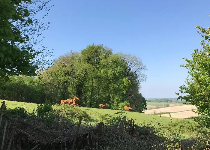 شقة Le Hibou -1 Bed Porcheresse